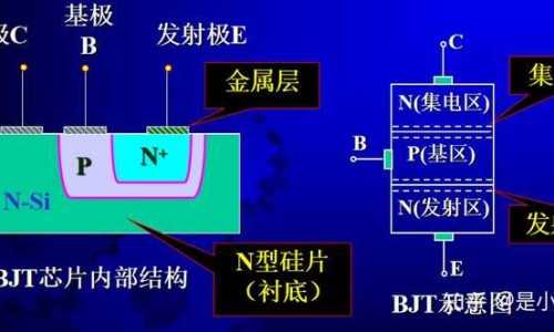 韧带撕裂病人吃什么水果好-韧带撕裂病人吃什么网 :分享韧带撕裂病人吃什么水果好-韧带撕裂食补吃什么好知识
